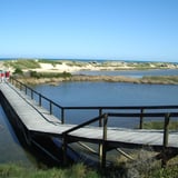 This boardwalk, located along Ocean Drive in Port Denison, takes you over the Irwin River, to the coast. 