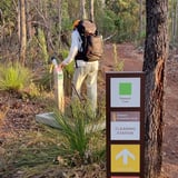 Robin Ramble Bungendore Park P H A V C 3
