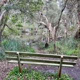 Seat Mokare Heritage Trail Denmark Kstevens