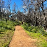 Trail1 Syds Walyunga N P K Stevens