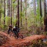 The Arboretum Flowmtb (22)