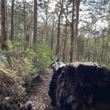 Chimney Trail 2