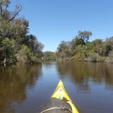 Canning River3 Rivergods Kayaking Tours And Hire
