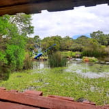 ‘Ornitarium’ bird hide