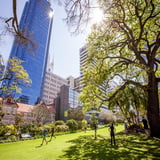 Parks & Gardens - Stirling Gardens - City of Perth