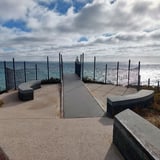 Henderson Foreshore3_Beeliar RP_Bronwyn Wells.png