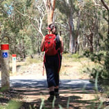Wheelchair access trail