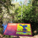Art1 Noongar Kaartdijin’ Bidee Harvey Region