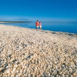 Made entirely of tiny white cockle shells, Shell Beach is one of natures marvels.