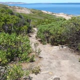 Trail down to the water