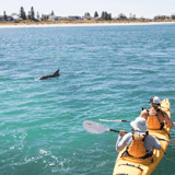Kayakers1 Shoalwater Islands Marine Park Tourismwa