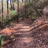 Nanga Brook Trail2 D B C A