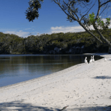 Coalmine Beach Kapagup Network Bron Anderson
