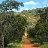 The Goat Walk takes you over the hill with views across the surrounding countryside and out to the coast