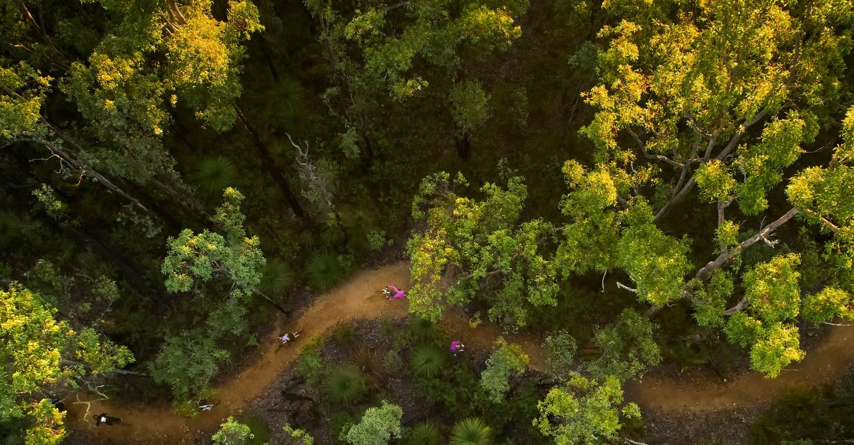 Mountain Biking Experiences in Australia's South West