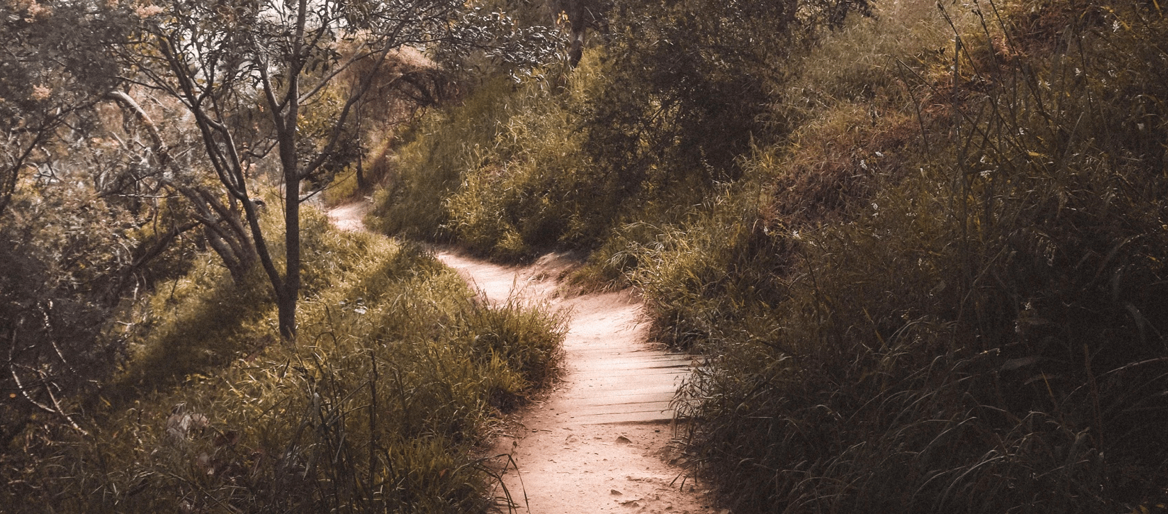Photo of trail walkers
