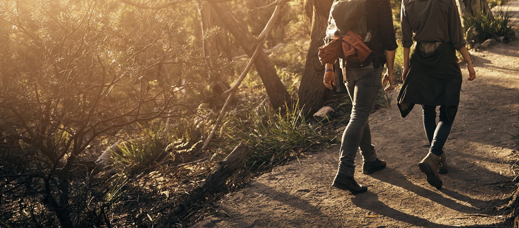 Photo of trail walkers