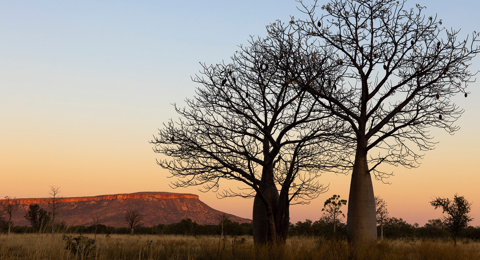 HERO_El Quester_Gibb River Road_Tourism WA.png