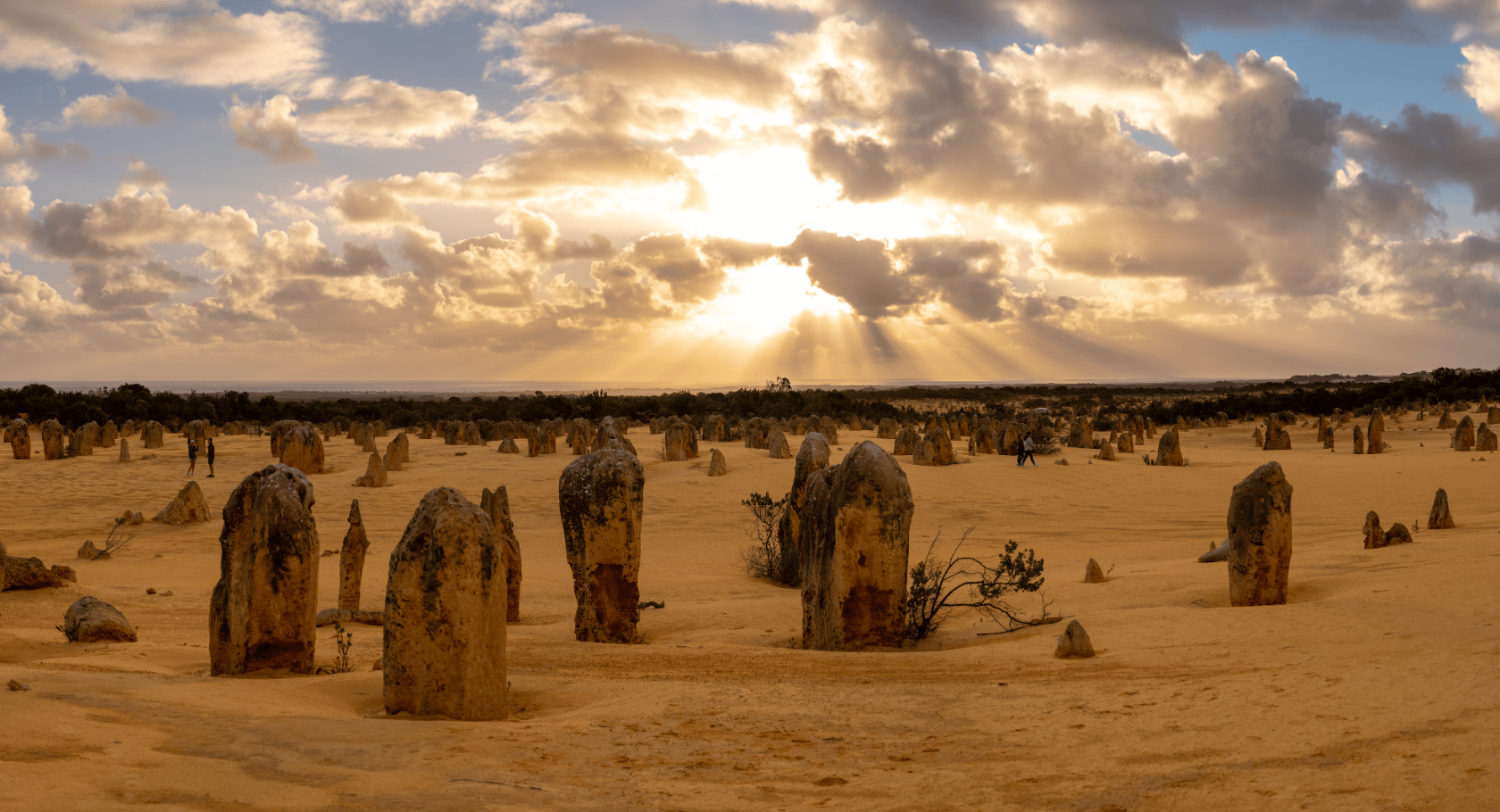 Desert View Walk Nambungnp Tourismwa Hero