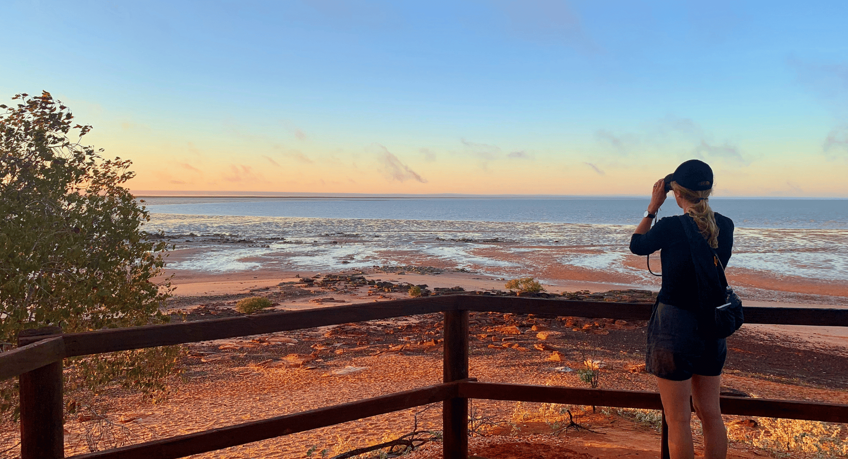 H E R O B B O Lookout3 K. Stevens