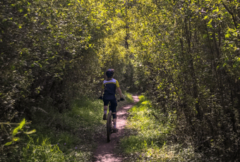 Easy Peasy_Pemberton MTB Park_Pemberton Cycling Association