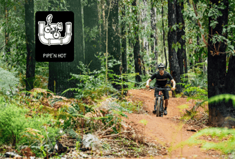 PineNHot_Wambenger_Wellington NP_@By Denzil