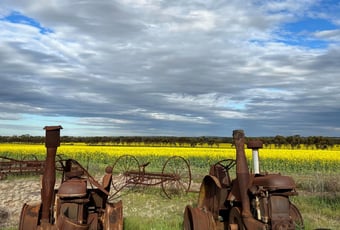Avoca Farm_Narembeen