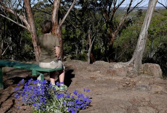 breakway_foxes_lair_2