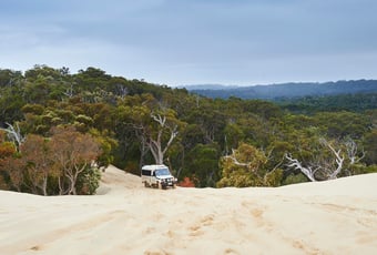 Yeagarup Sand Dunes, Pemberton Tourism WA 3