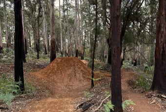 The Arboretum_Sheep Thrills Bron Anderson DBCA