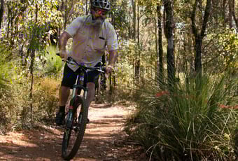 Highland Highway_Arklow_DBCA