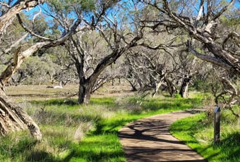 John Boyle OReilly trail 1 T Johnson