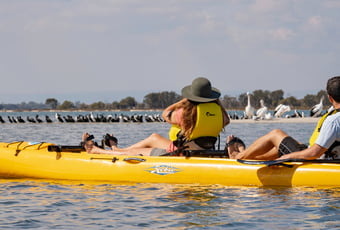 Birdlife_Pelican_Trail_Tourism_WA