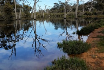 Yornaning dam diversion pond