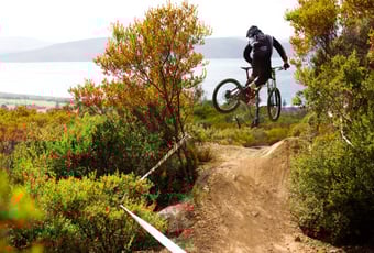 Photo_entry_Sean_Lee_-Tom_Anticich_riding_Albany