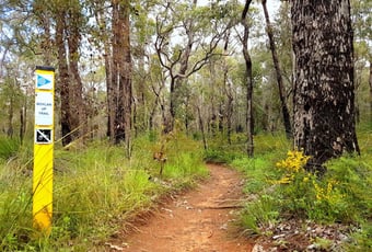 Boylan_Trail_1