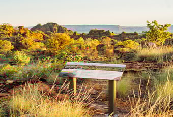 YoorrngingGeranyemBanan_MirimaNP_JBuchan_2