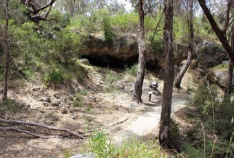 dwerta_mia_yanchep_(15)_Harry_Frochter