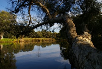 woodloes_walk_trail_10