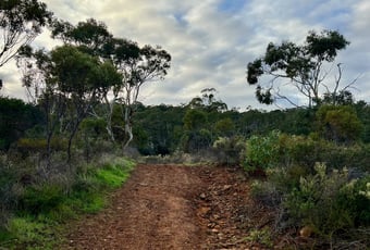 Lewis Road Walk_Mundy RP_KStevens