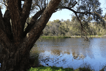 Trails WA Hero image (2)