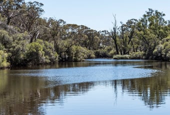 Bilya Djena Koorliny Dale River Reserve Beverley