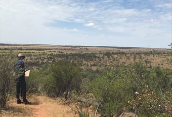 MullewaBushland_Mullewa_CSoord_3