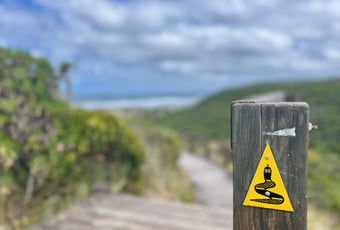 Bibb Track2_near Conspicuous Cliffs_KStevens