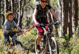 Lake Lesch_Network Card