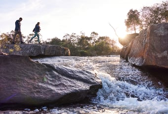 Little Eagle_JFNP_Travis Hayto