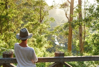 Warren River Lookout, Pemberton TourismWA