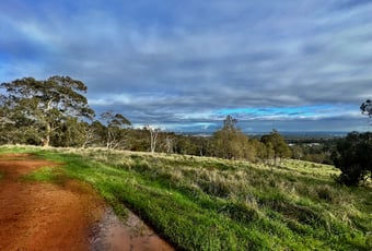 City View and Trail West Terrace Trail_Mundy RP_KStevens