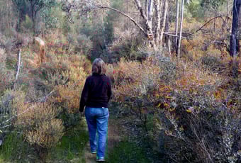 granite_trail_foxes_lair_2