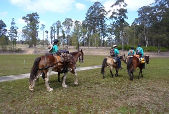 Hoofing_it_for_health_trek_passing_through_shannon_28.9_(20)
